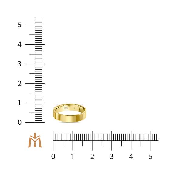 Плоское обручальное кольцо из желтого золота 585 пробы R01-4-Y-11469 - Фото 2